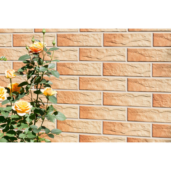 Плитка фасадна Gobi Rustiko 6,5x24,5x0,65 код 9768 Cerrad