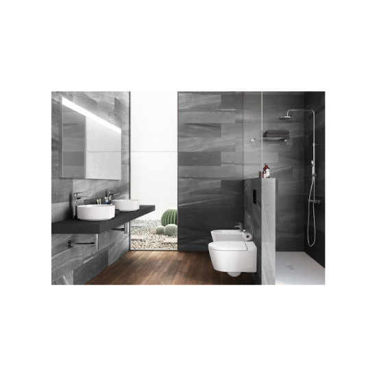 Кришка для унітаза Inspira Round soft-close (A80152C00B), Roca