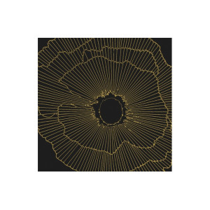 Плитка керамогранітна Art Deco Black Spritz Natural 297,5x297,5x9,9 Aparici