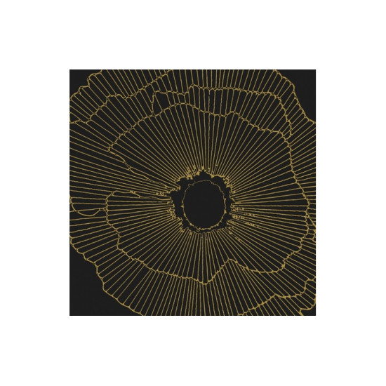 Плитка керамогранітна Art Deco Black Spritz Natural 297,5x297,5x9,9 Aparici