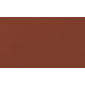 Плитка підлогова Rot 148x300x11 Cerrad