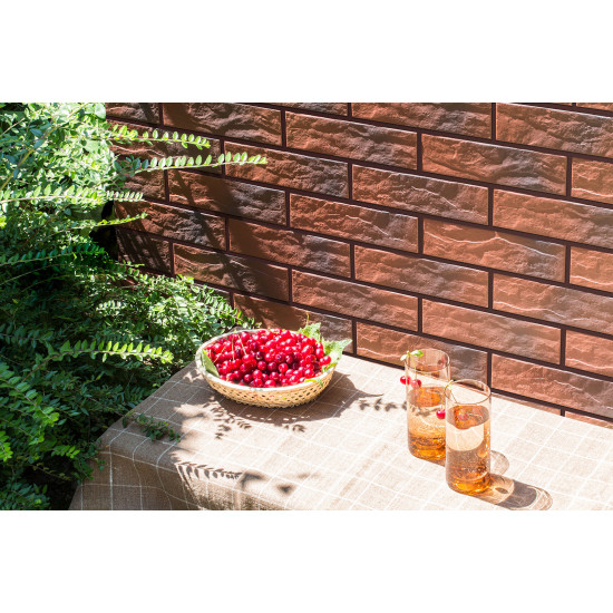 Плитка фасадна з відтінком Rot Shaded RUST 65x245x6,5 Cerrad